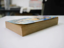 อะไรจะเกิดขึ้น เมื่อคุณหญิงเป็นขุนนาง ฉบับรวมเล่ม รูปที่ 3