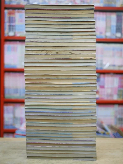 Dragon Ball ดราก้อนบอล 42 เล่มจบ รูปที่ 4