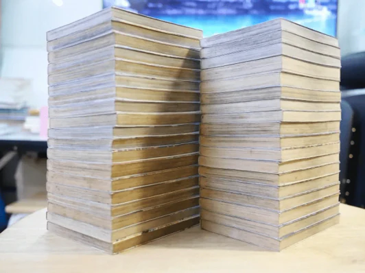 มังกรอหังการ หมาป่าคะนองศึก 37 เล่มจบ รูปที่ 2