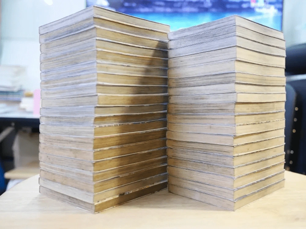 มังกรอหังการ หมาป่าคะนองศึก 37 เล่มจบ รูปที่ 2