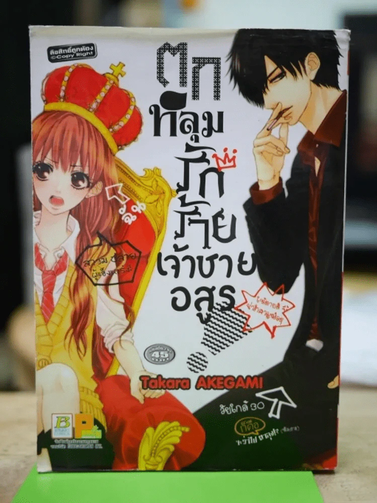 ตกหลุมรักร้ายเจ้าชายอสูร รูปที่ 1