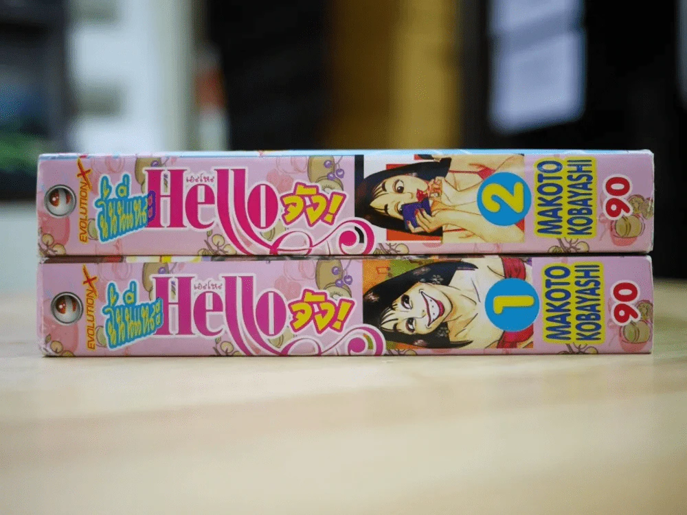 ฉันนี่แหละ Hello จัง 2 เล่มจบ รูปที่ 2