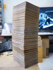 ล่าอสูรกาย 33 เล่มจบ + ภาคพิเศษ 1 เล่ม รูปที่ 3