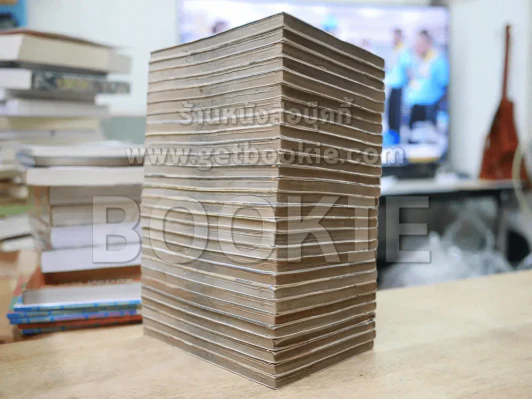 ตะวันรักที่ปลายฟ้า 28 เล่มจบ (สภาพร้านเช่า) รูปที่ 3