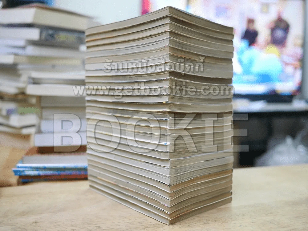 ตะวันรักที่ปลายฟ้า 28 เล่มจบ (เล่ม 15/20 สภาพร้านเช่า นอกนั้นหนังสือบ้านสภาพดีมาก) รูปที่ 3