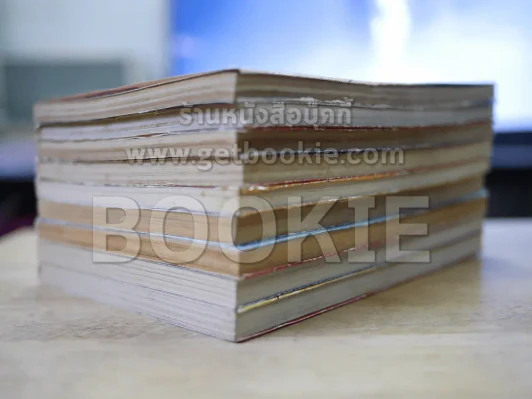 หนุ่มเฮี้ยวพันธุ์ระห่ำ 9 เล่มจบ รูปที่ 4