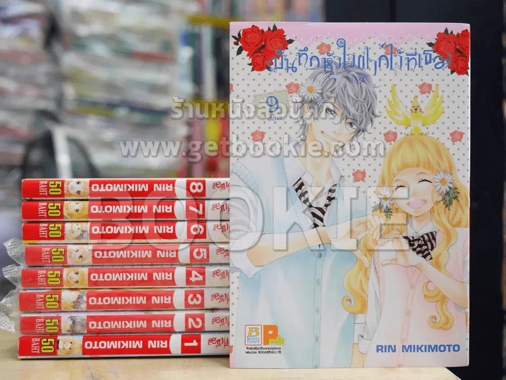 บันทึกหัวใจฝากไว้ที่เธอ 9 เล่มจบ รูปที่ 1