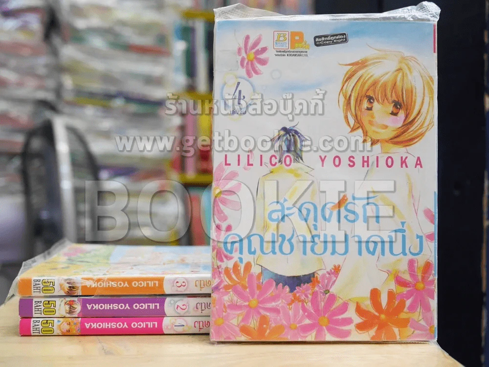 สะดุดรักคุณชายมาดนิ่ง 4 เล่มจบ รูปที่ 1