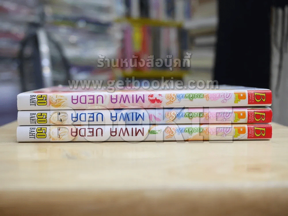 ค้นหัวใจในทางเดินแห่งรัก 3 เล่มจบ รูปที่ 2