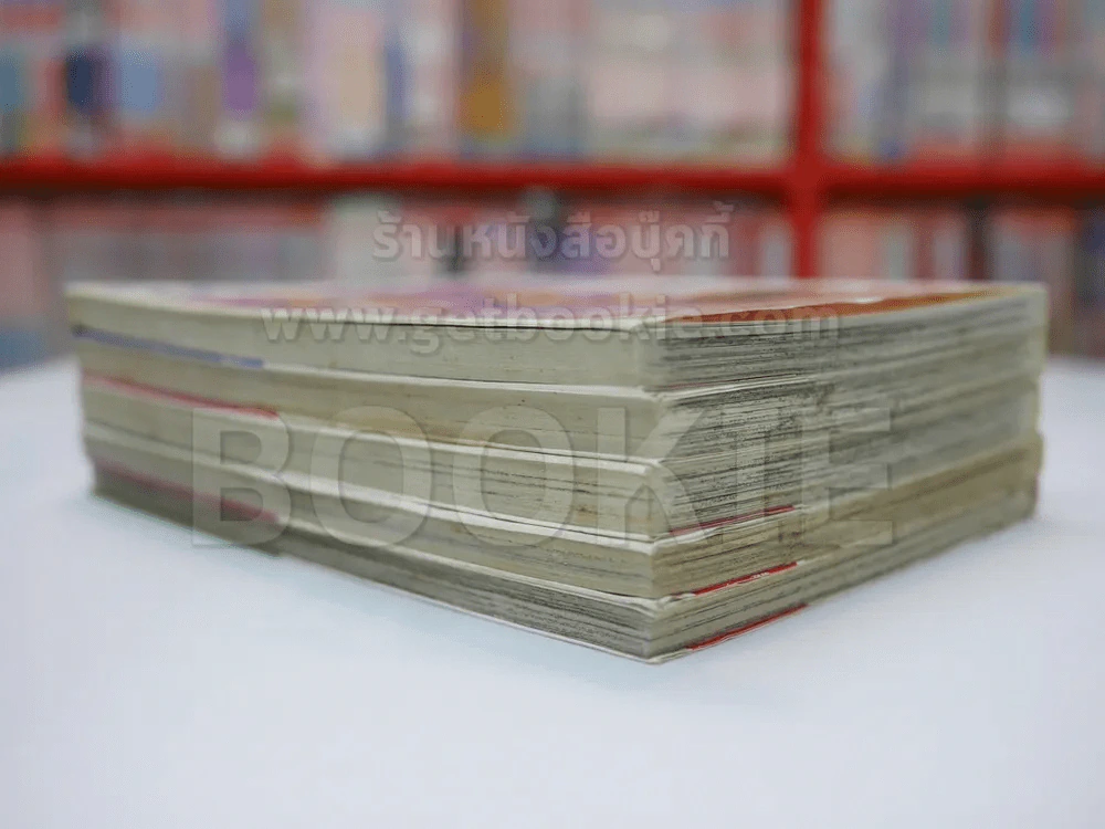 รักป่วนๆ แต่ไม่กวนนะ 5 เล่มจบ รูปที่ 3