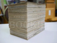 จังหวะร็อคดนตรีรัก 17 เล่มจบ + ภาคพิเศษ ชีวิตหลังแต่งงานของไอเนะ รูปที่ 4
