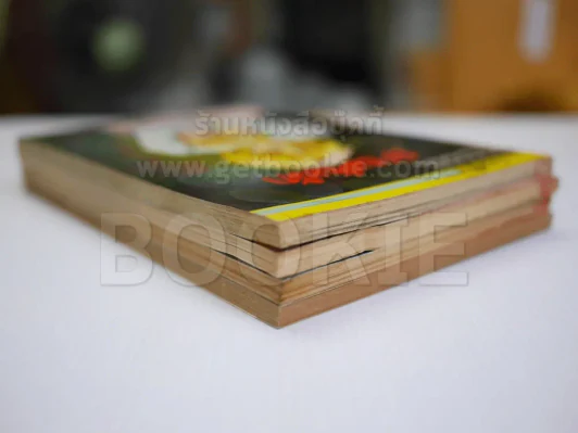 ม่านคั่นรัก 4 เล่มจบ - ผู้เขียนตากล้องที่รัก (เล่ม 1 มีรอยกระดาษขาดตามภาพ) รูปที่ 3