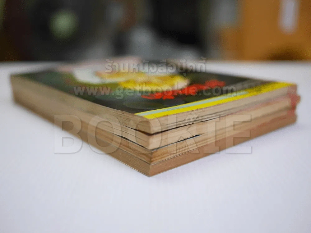 ม่านคั่นรัก 4 เล่มจบ - ผู้เขียนตากล้องที่รัก (เล่ม 1 มีรอยกระดาษขาดตามภาพ) รูปที่ 3