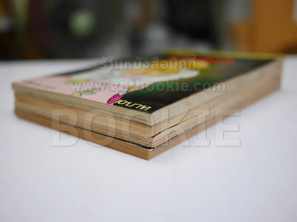 ม่านคั่นรัก 4 เล่มจบ - ผู้เขียนตากล้องที่รัก (เล่ม 1 มีรอยกระดาษขาดตามภาพ) รูปที่ 4
