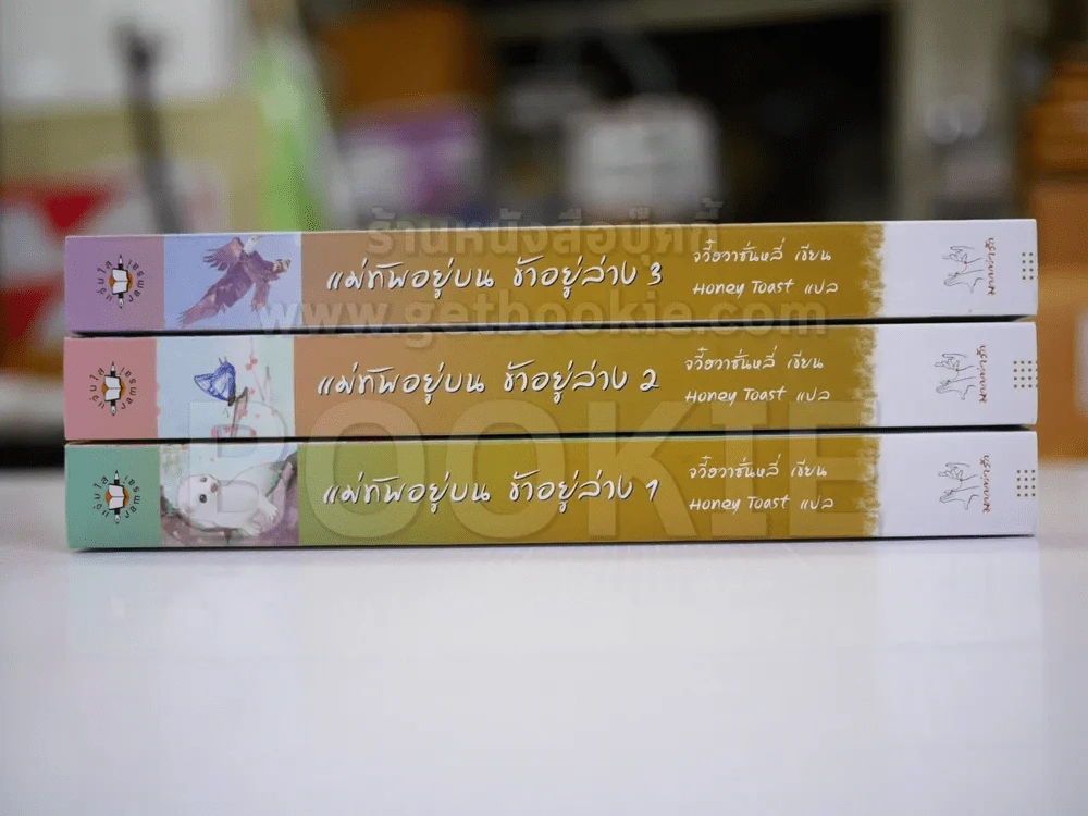 แม่ทัพอยู่บนข้าอยู่ล่าง 3 เล่มจบ รูปที่ 2