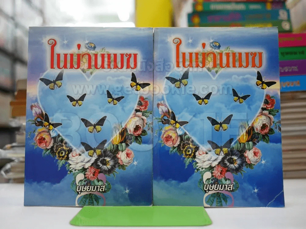 ในม่านเมฆ 2 เล่มจบ - บุษยมาส รูปที่ 1