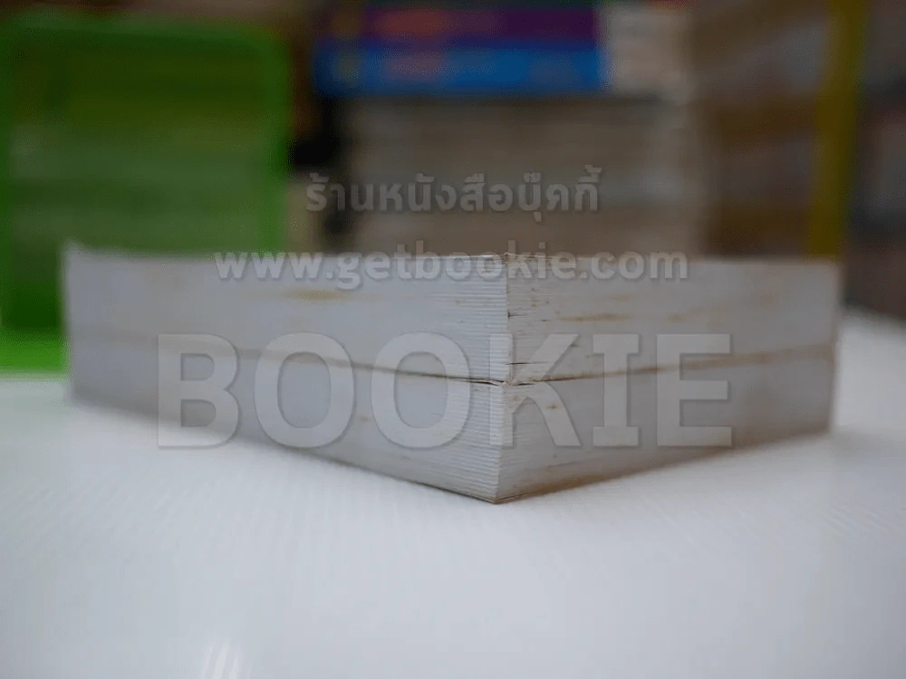 ในม่านเมฆ 2 เล่มจบ - บุษยมาส รูปที่ 3