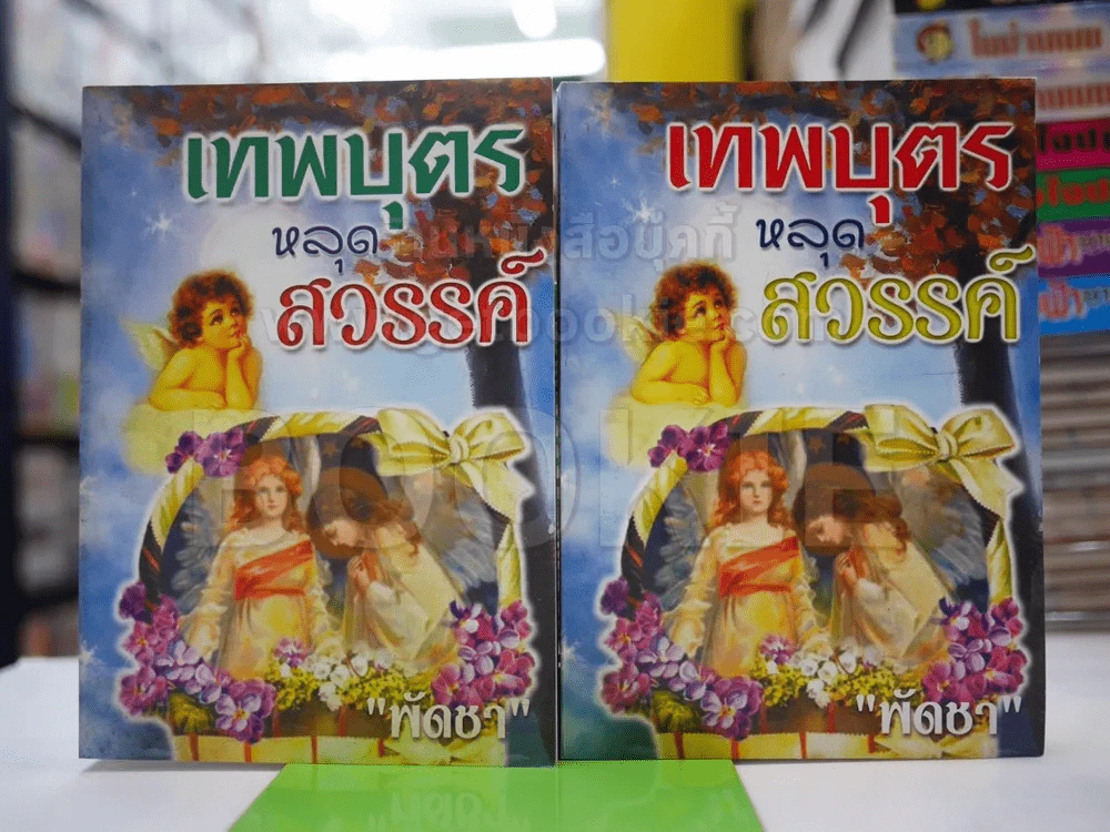 เทพบุตรหลุดสวรรค์ 2 เล่มจบ - พัดชา รูปที่ 1
