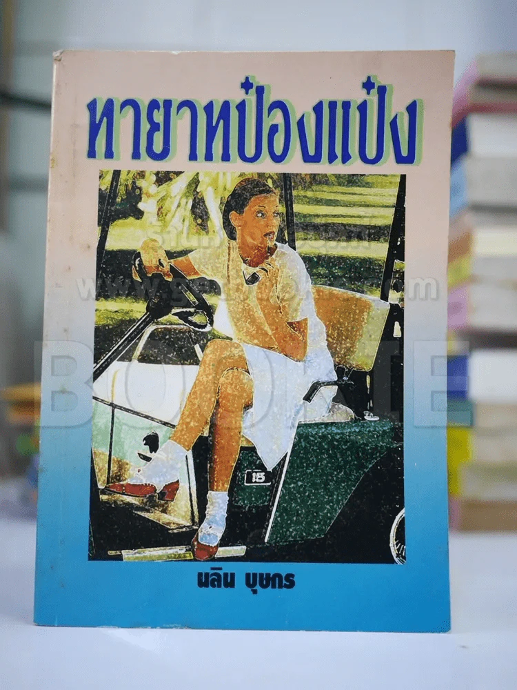 ทายาทป๋องแป๋ง - นลิน รูปที่ 1