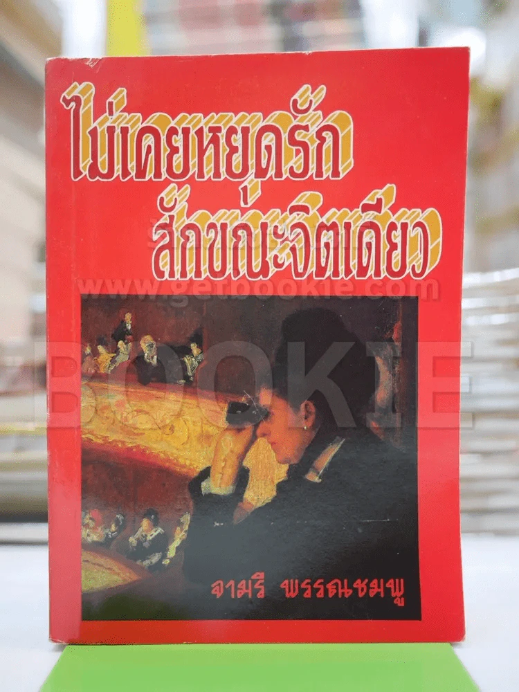 ไม่เคยหยุดรักสักขณะจิตเดียว - จามรี รูปที่ 1