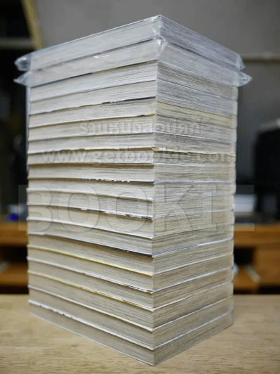 ดาวตลกฟ้าประทาน 19 เล่มจบ รูปที่ 3
