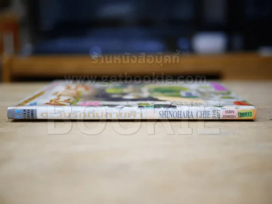 ตะวันรักที่ปลายฟ้า เล่ม 25 (สันบาง) รูปที่ 2