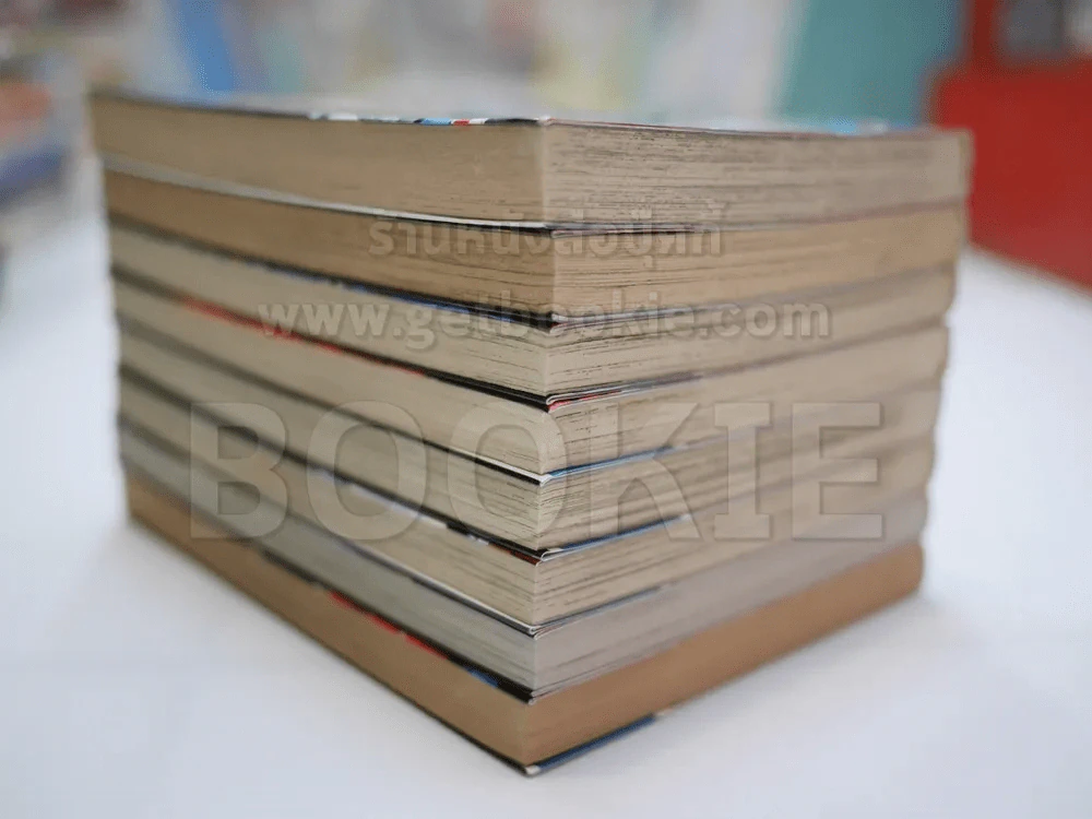 มังกรหายนะ 8 เล่มจบ (สภาพดีมาก) รูปที่ 3