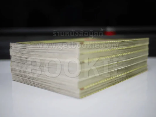 ขอคู่ใจใครสักคน 6 เล่มจบ รูปที่ 4