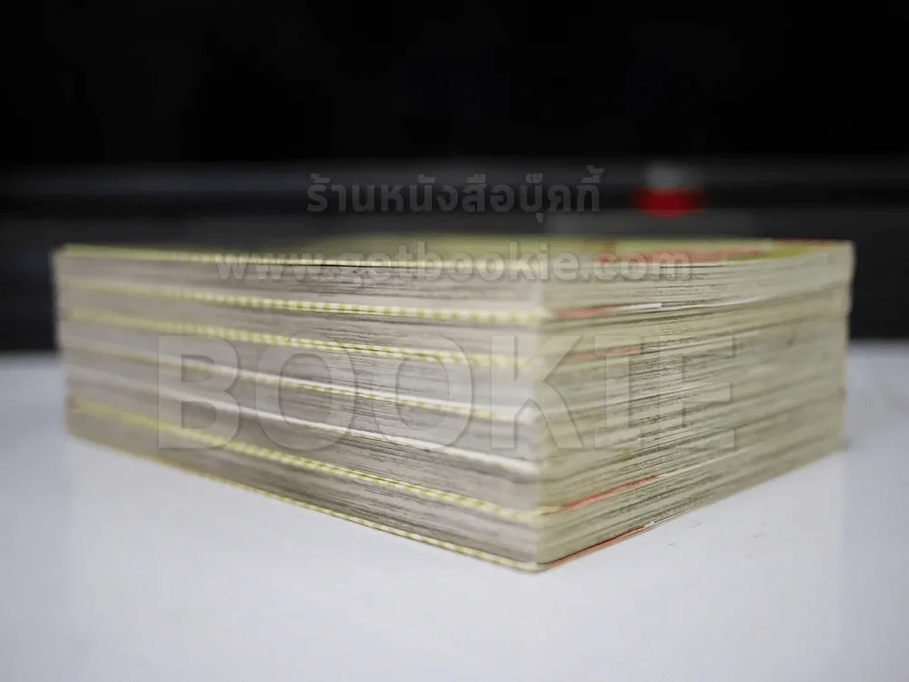 ขอคู่ใจใครสักคน 6 เล่มจบ รูปที่ 3