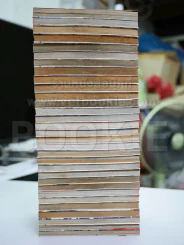 คู่คนลุยเลอะ 31 เล่มจบ รูปที่ 4