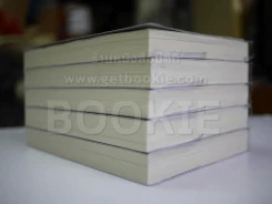บันทึกจอมโจรแห่งสุสาน เล่ม 1-5 รูปที่ 3