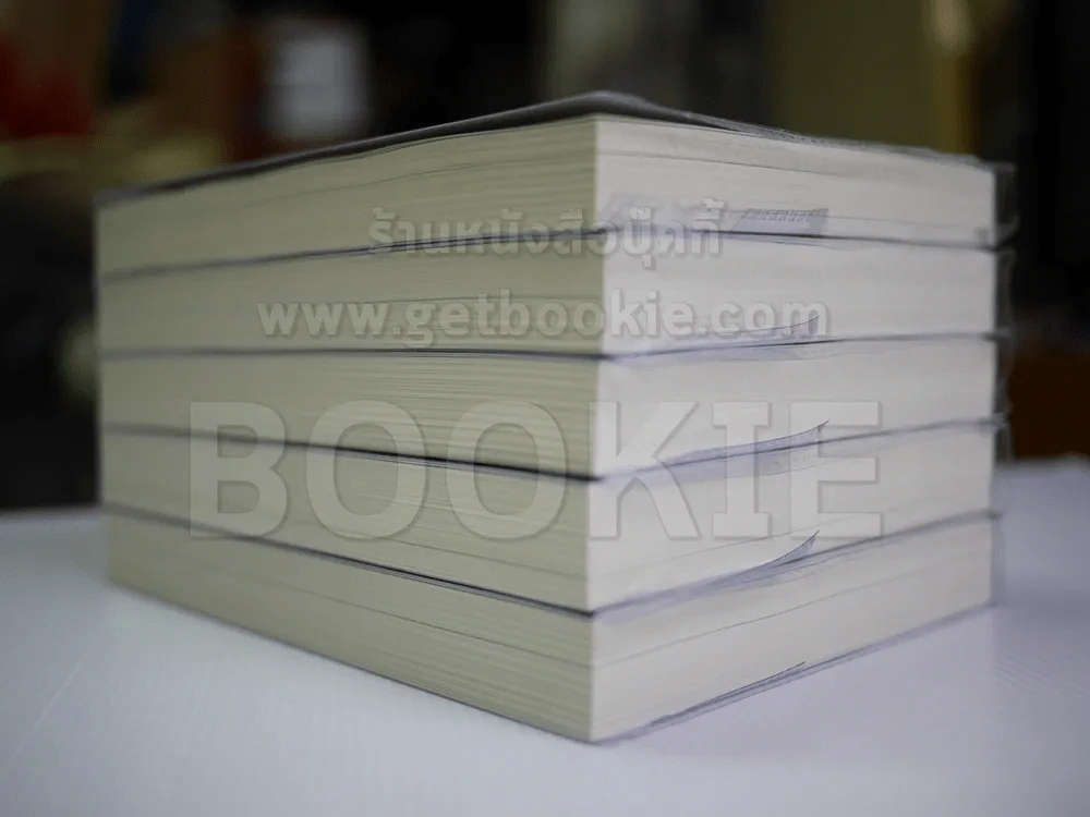 บันทึกจอมโจรแห่งสุสาน เล่ม 1-5 รูปที่ 3