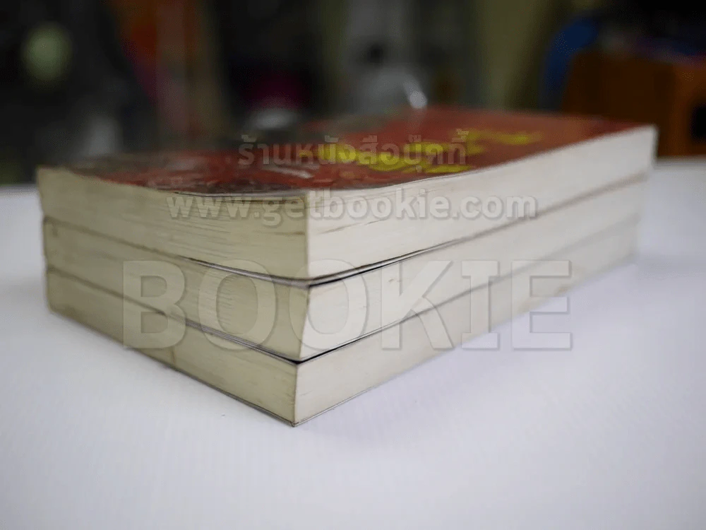 ดาบล่าวิญญาณ 3 เล่มจบ รูปที่ 4