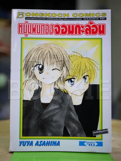 หนุ่มผมทองจอมกะล่อน รูปที่ 1