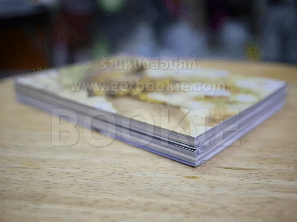 Summoner Master Theory เล่ม 1-2 รูปที่ 3