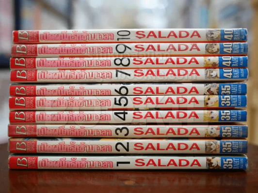 เปิดผนึกรักข้ามเวลา Salada 10 เล่มจบ รูปที่ 2