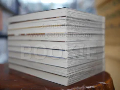 Ultimo มหาสงครามตุ๊กตากล เล่ม 1-9 รูปที่ 3