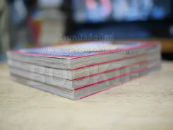 เสียงกระซิบจากความตาย 4 เล่มจบ รูปที่ 4