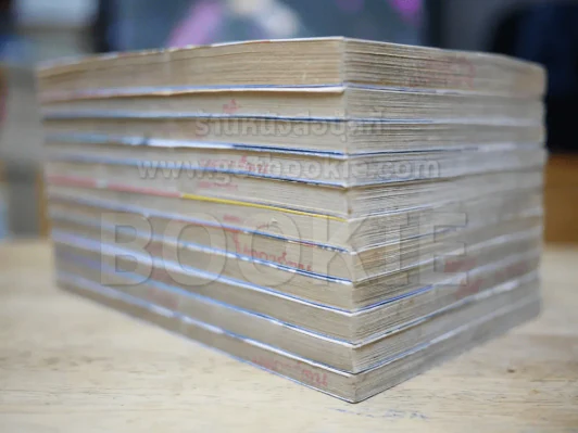 ถึงร้ายก็รัก 11 เล่มจบ รูปที่ 3
