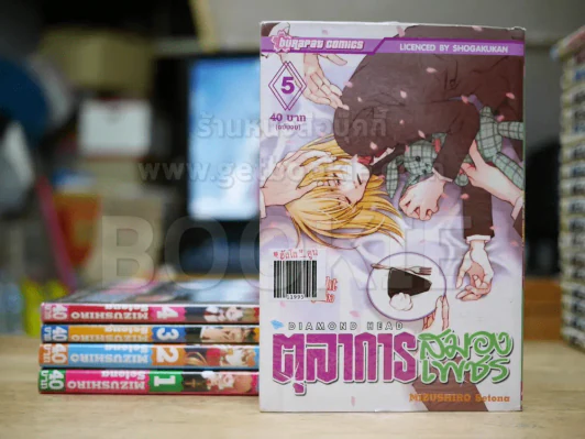 ตุลาการสมองเพชร 5 เล่มจบ รูปที่ 1