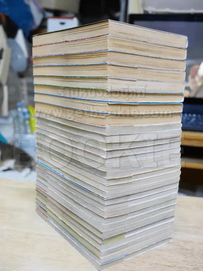 อินุยาฉะ เทพอสูรจิ้งจอกเงิน 29 เล่ม (ไม่ครบชุด) รูปที่ 3