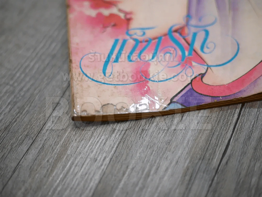 เก็บรัก รูปที่ 2