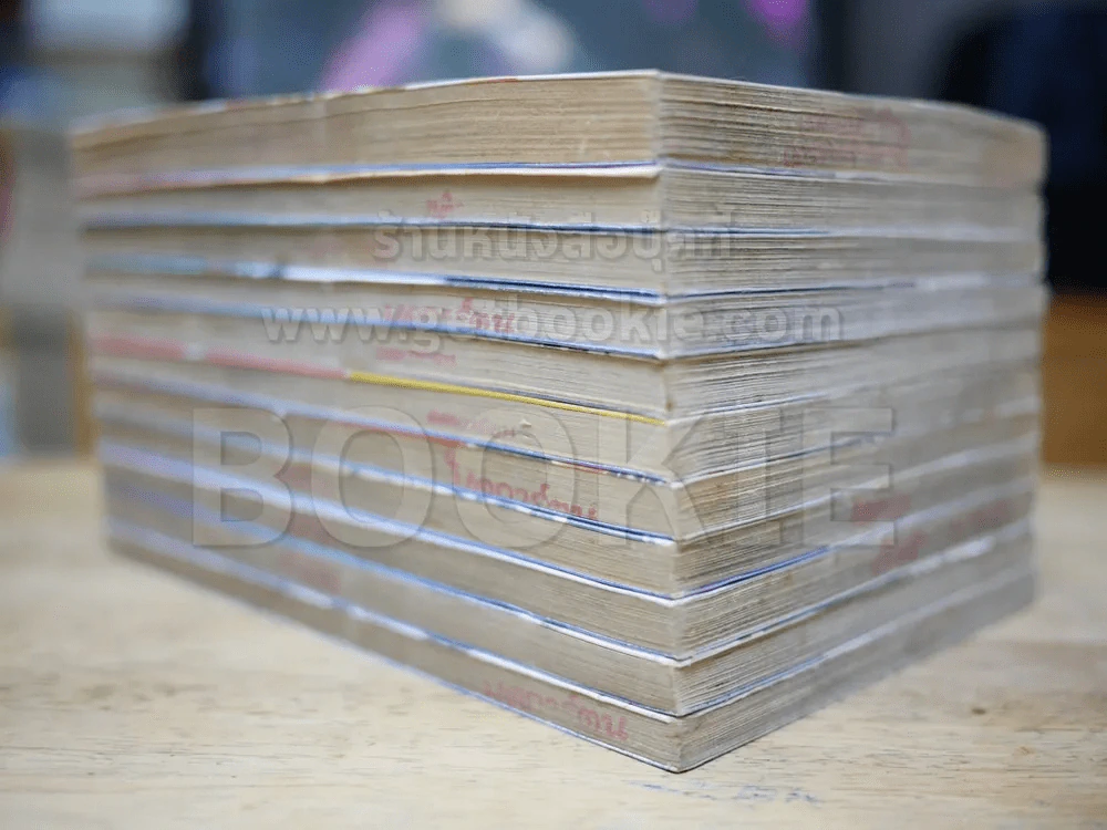 ถึงร้ายก็รัก 11 เล่มจบ รูปที่ 3