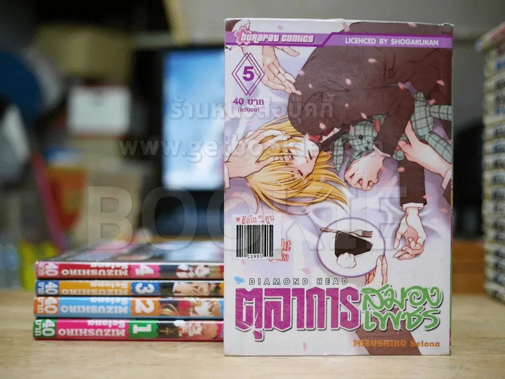 ตุลาการสมองเพชร 5 เล่มจบ รูปที่ 1