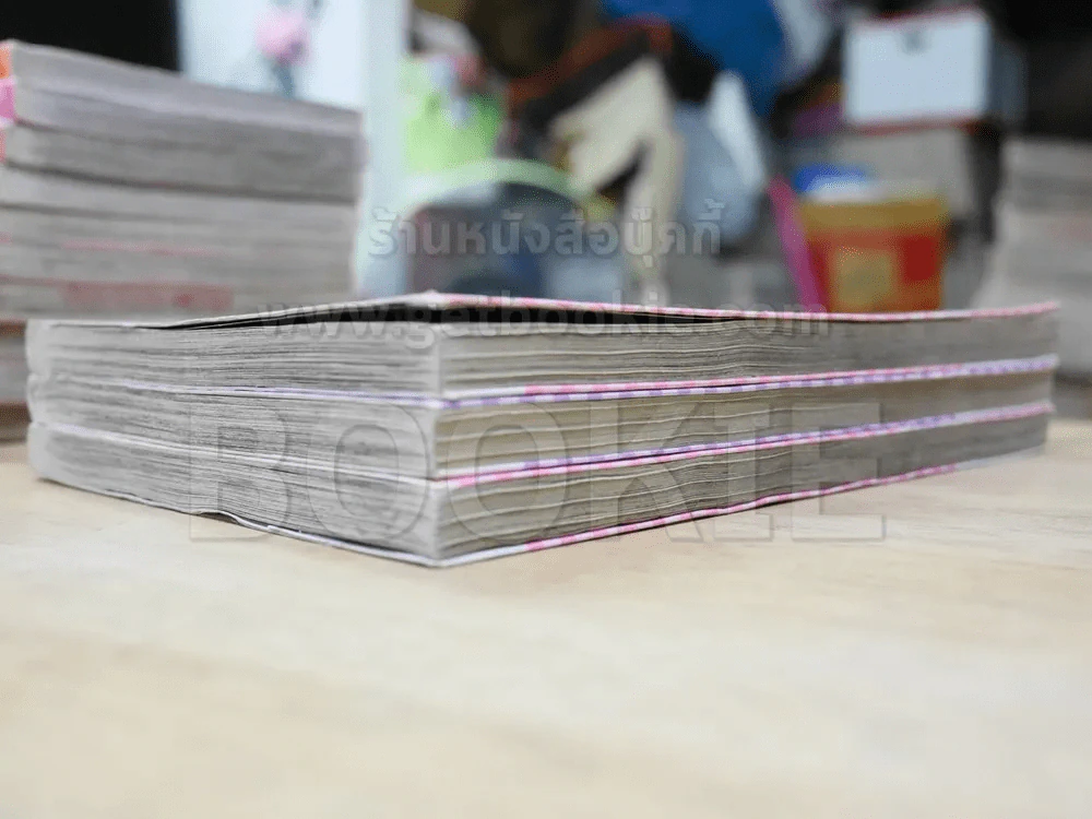 Princess Ver.1 3 เล่มจบ รูปที่ 4