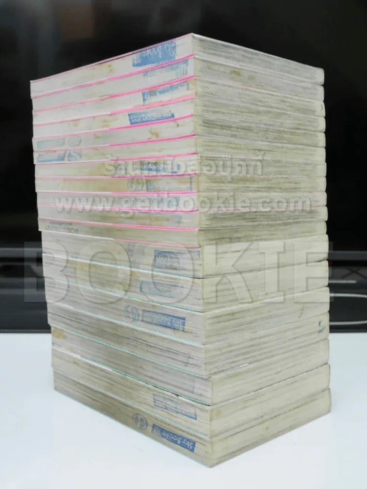 เมื่อคุณหญิงจอมแก่นแต่งงาน 7 เล่มจบ + ภาคหลังแต่งงาน 11 เล่มจบ รูปที่ 3