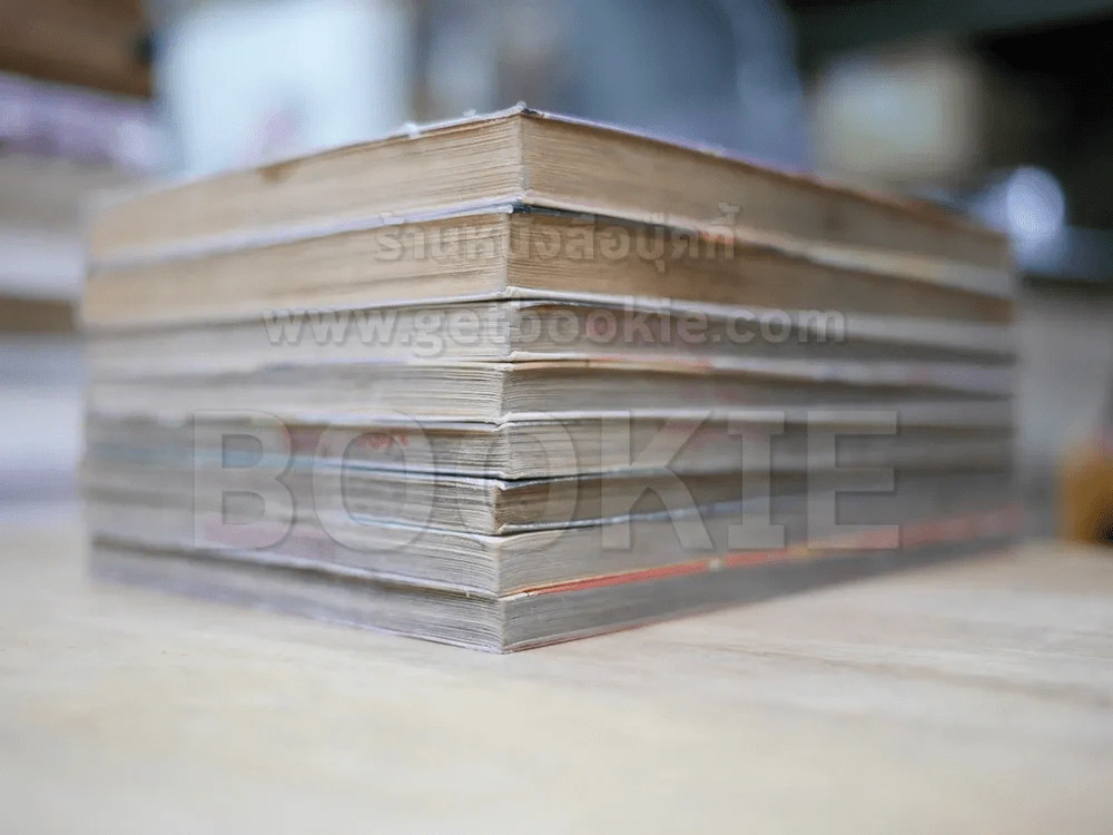 นักรบข้ามเวลา 11 เล่มจบ (ขาดเล่ม 1-3) รูปที่ 4