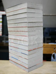 Boy Hareluya II 15 เล่มจบ รูปที่ 3