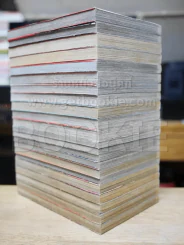 หนุ่มเอ๊าะสะเดาะล็อค Saru Lock 22 เล่มจบ รูปที่ 3