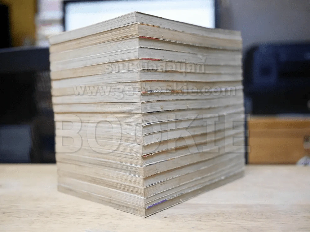 คนเก่งทะลุโลก 19 เล่มจบ รูปที่ 4